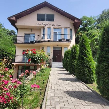 Casa Patryk Hotel Orsova Ngoại thất bức ảnh
