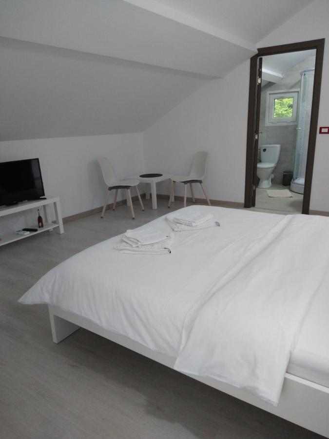 Casa Patryk Hotel Orsova Ngoại thất bức ảnh