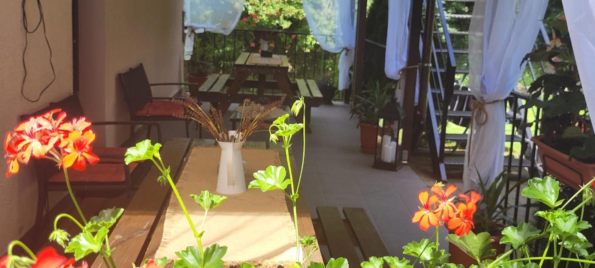 Casa Patryk Hotel Orsova Ngoại thất bức ảnh